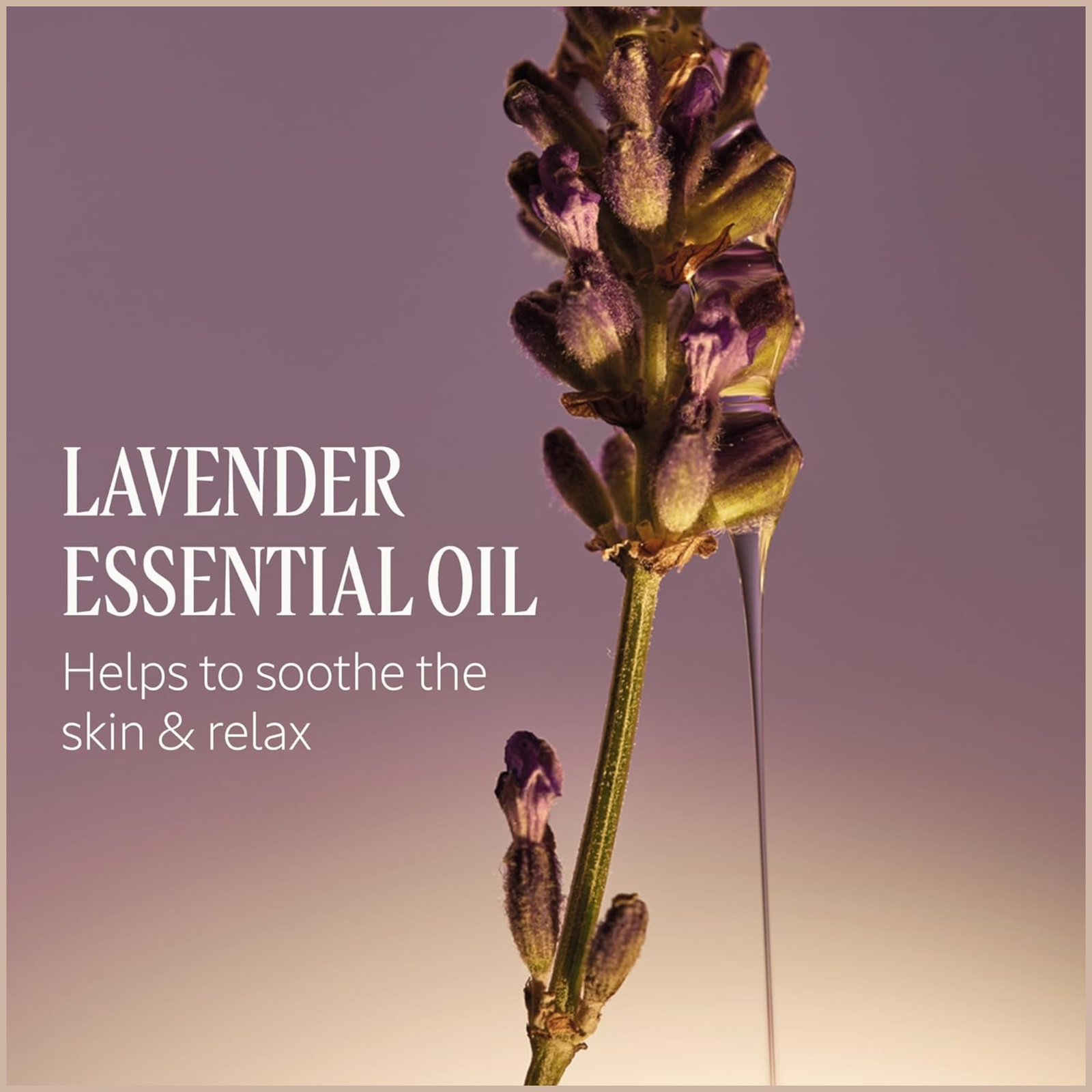Lavender Liquid Hand Soap Refill – Shea Butter & Essential Oil Hand Cleanser - Image 6