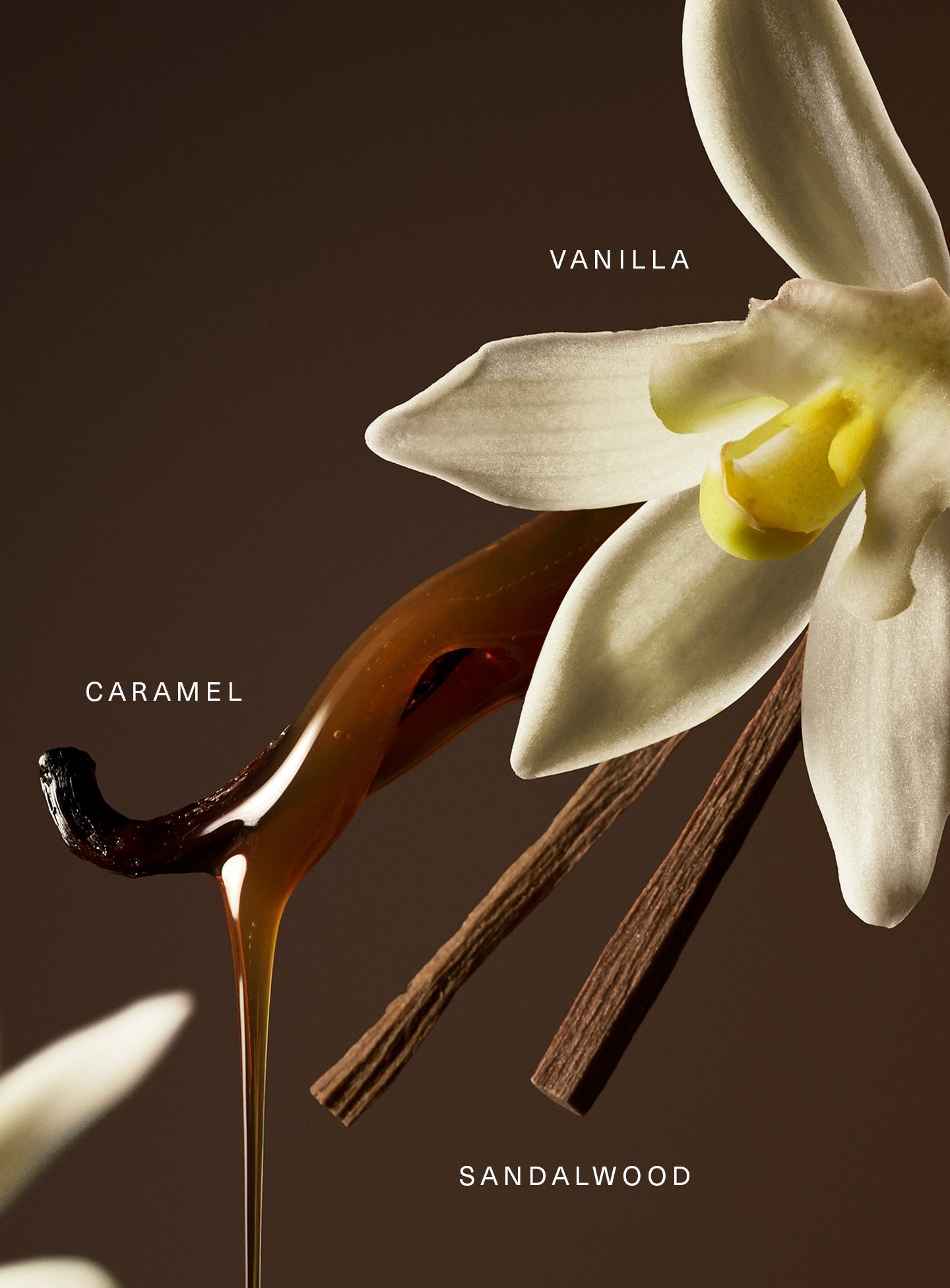 Rare Eau de Parfum - Image 9
