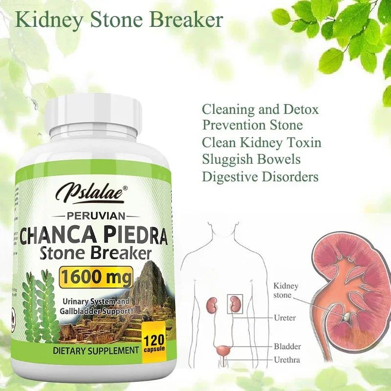 Chanca Piedra Urinary Tract Support Capsules, 60 Count - Image 8