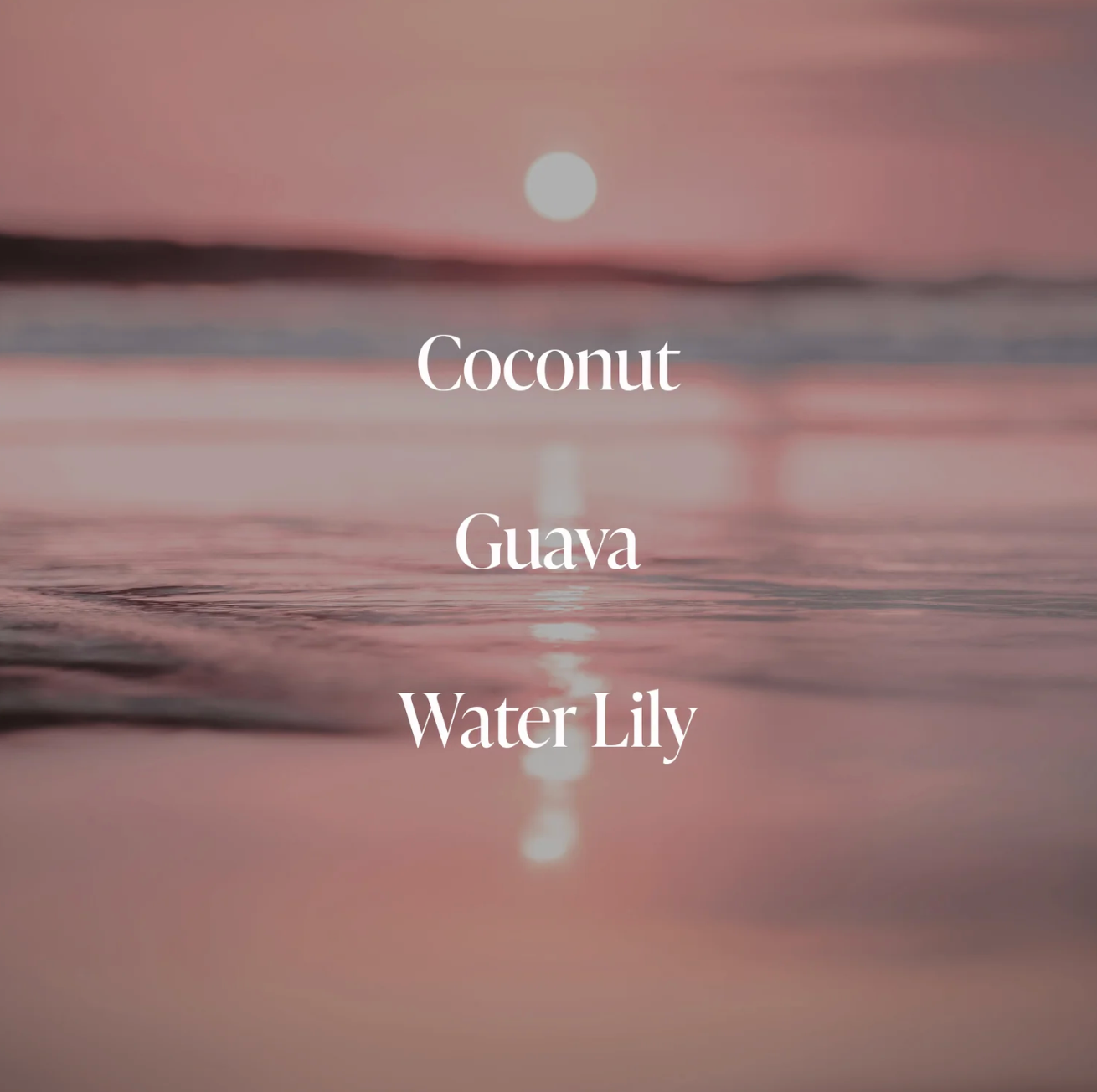 Coral Coast BODY MIST - Image 4